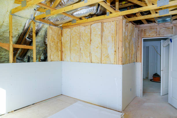 Best Insulation Maintenance and Repair in Volga, SD