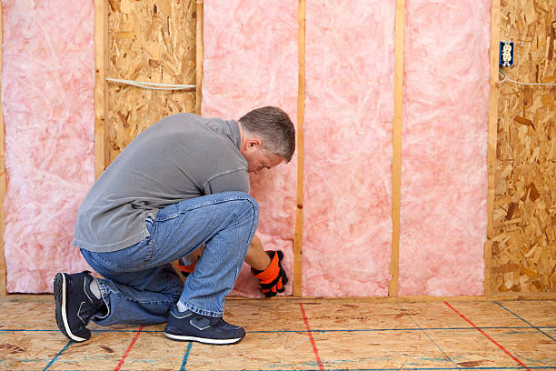 Best Eco-Friendly Insulation in Volga, SD